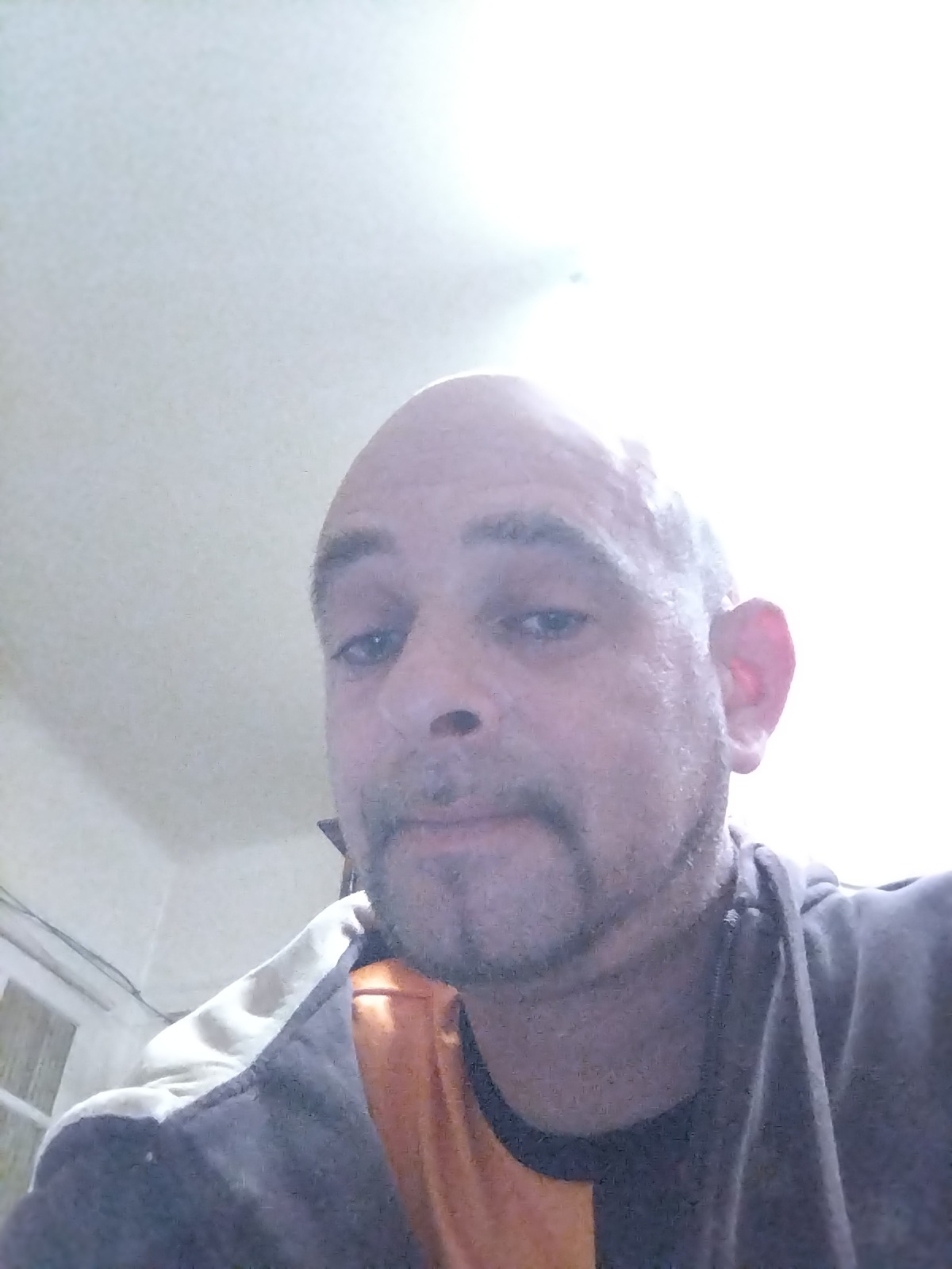 Profil de Davut